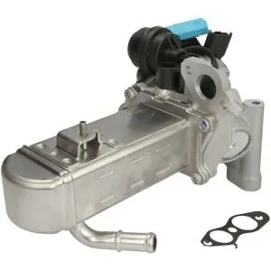 Vanne EGR NRF 48204