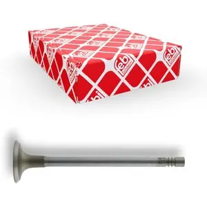 FEBI BILSTEIN 21807 Soupape d'échappement