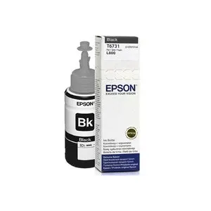 Epson T6731