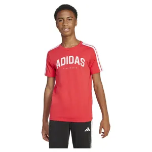 Adidas Codes Collegiate Graphic Lyhythihainen T-paita