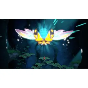 Hoa (clé Steam, monde entier)