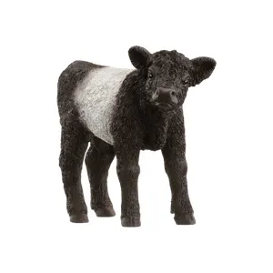 13969 - - Veau galloway