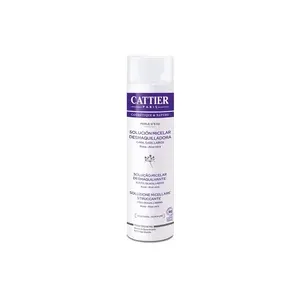 Solution Micelar Démaquillant 300 ml