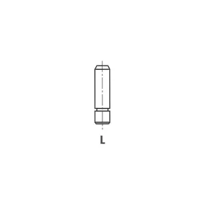 IPSA VG053200 Guide de soupape