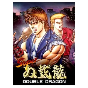Super Double Dragon (clé Steam, monde entier)