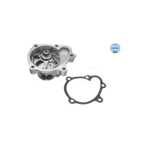 MEYLE 31-13 220 0013 Pompe à eau