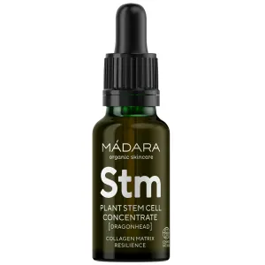 Plant Stem Cell Concentrate [Dragonhead]