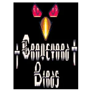 Graveyard Birds (clé Steam, monde entier)