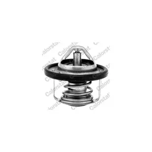CALORSTAT by Vernet TH7184.82J Thermostat d'eau