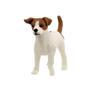 13916 Jack Russel Terrier