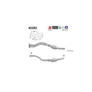 AS 42262 Catalyseur