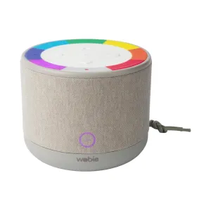 Enceinte Bluetooth - Wobie Box - Gris
