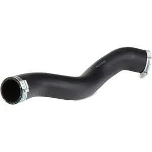 BUGIAD 81829 Durite de turbo