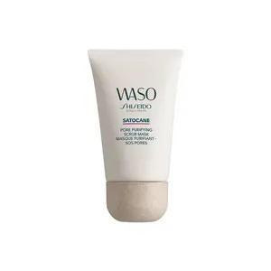 Shiseido Masque Purifiant