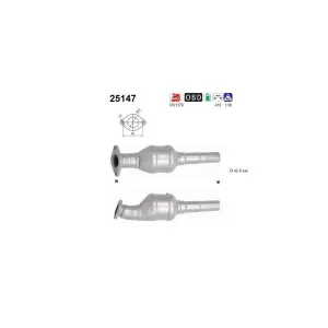 AS 25147 Catalyseur