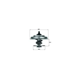 MAHLE TX 18 55D Thermostat d'eau