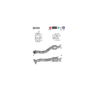 AS 22123 Catalyseur