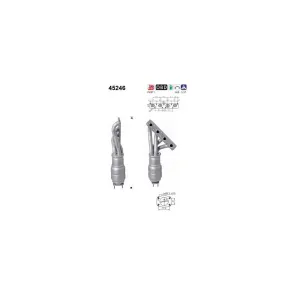 AS 45246 Catalyseur