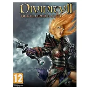 Divinity II: Developer's Cut (clé Steam, monde entier)