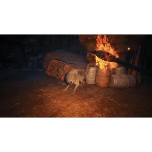 Winter Survival (clé Steam, Europe)