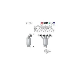 AS 21731 Catalyseur
