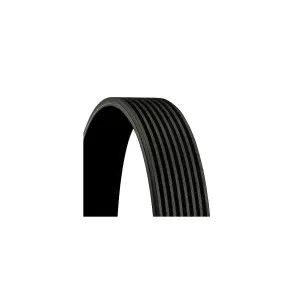 CONTITECH 8PK1910 Courroie Poly-V