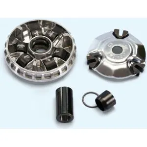 Variateur Polini 1151559