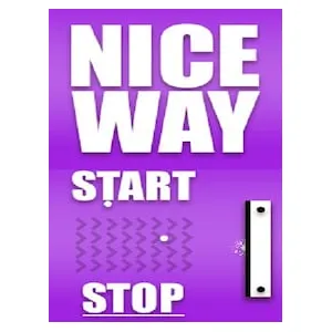 Nice Way (clé Steam, monde entier)