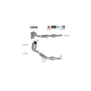 AS 33809 Catalyseur