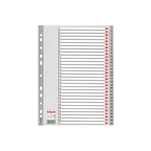 Intercalaire Pp A4 31 Touches Esselte Gris