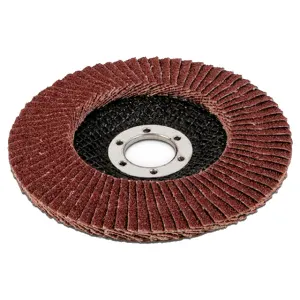 Disque à lamelle corindon - grain 80 - Ø 125 mm