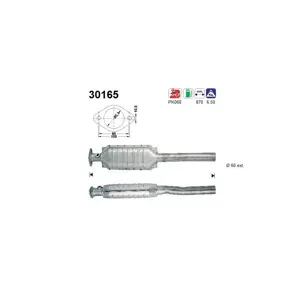 AS Catalyseur pour RENAULT: Laguna (Ref: 30165)