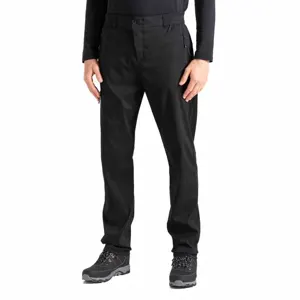 Pantalon Dare 2B Torrek Mountain