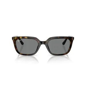 Ray-Ban RB4439D 710/87 Sunglasses