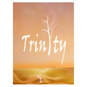 Trinity (clé Steam, monde entier)