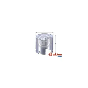 AUTOFREN SEINSA D02551 Piston, étrier de frein