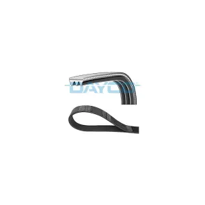 Multi-Couronnes Dayco 3pk798ee Mazda