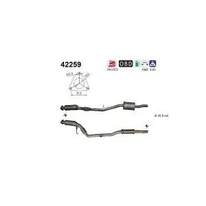 AS 42259 Catalyseur