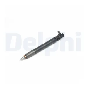 DELPHI Injecteur (Ref: R00101DP)