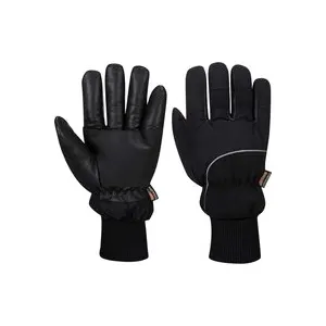 Gant Apache Cold Store Couleur : Noir Taille Xl - Portwest