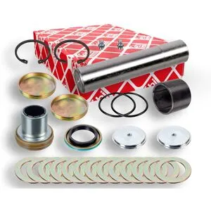 FEBI BILSTEIN 172053 Kit d'assemblage, pivot de fusée d'essieu