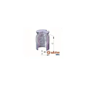 AUTOFREN SEINSA D02523 Piston, étrier de frein