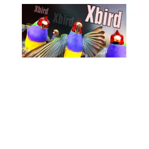 Xbird (clé Steam, monde entier)