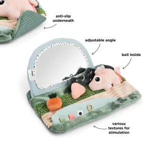 Miroir d'éveil Tummy time Tiny farm Multicolore