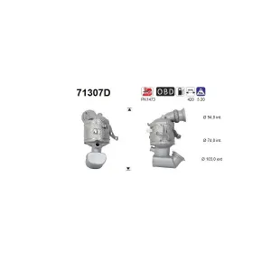 AS 71307D Catalyseur