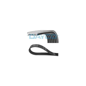 DAYCO 6PK1018 Courroie Poly-V