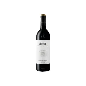 Aster Finca El Otero 2021