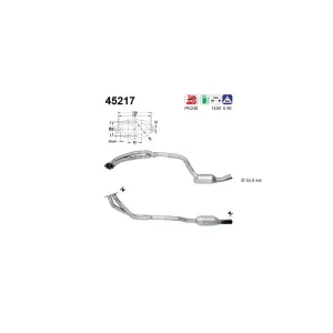 AS 45217 Catalyseur