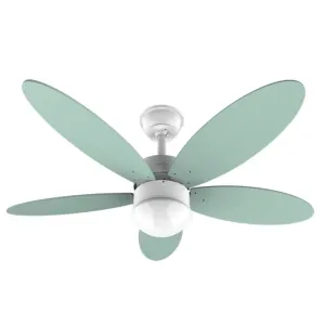 Cecotec 05878 Ventilateur Vert, Blanc