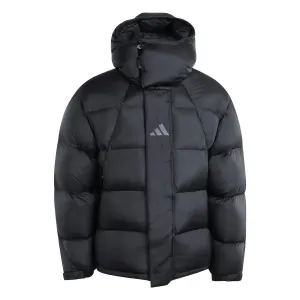 Doudoune à capuche adidas Terrex Xploric